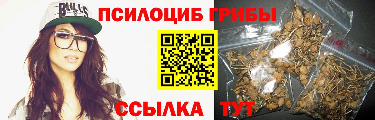 Галлюциногенные грибы GOLDEN TEACHER Благодарный