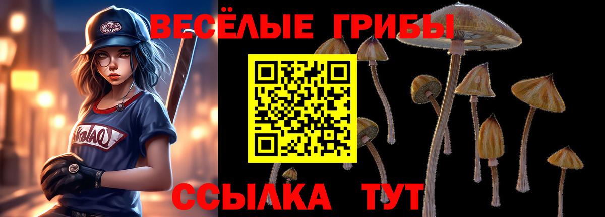 Благодарный  Галлюциногенные грибы мухоморы  Вход с VPN  Галлюциногенные грибы Magic Shrooms 